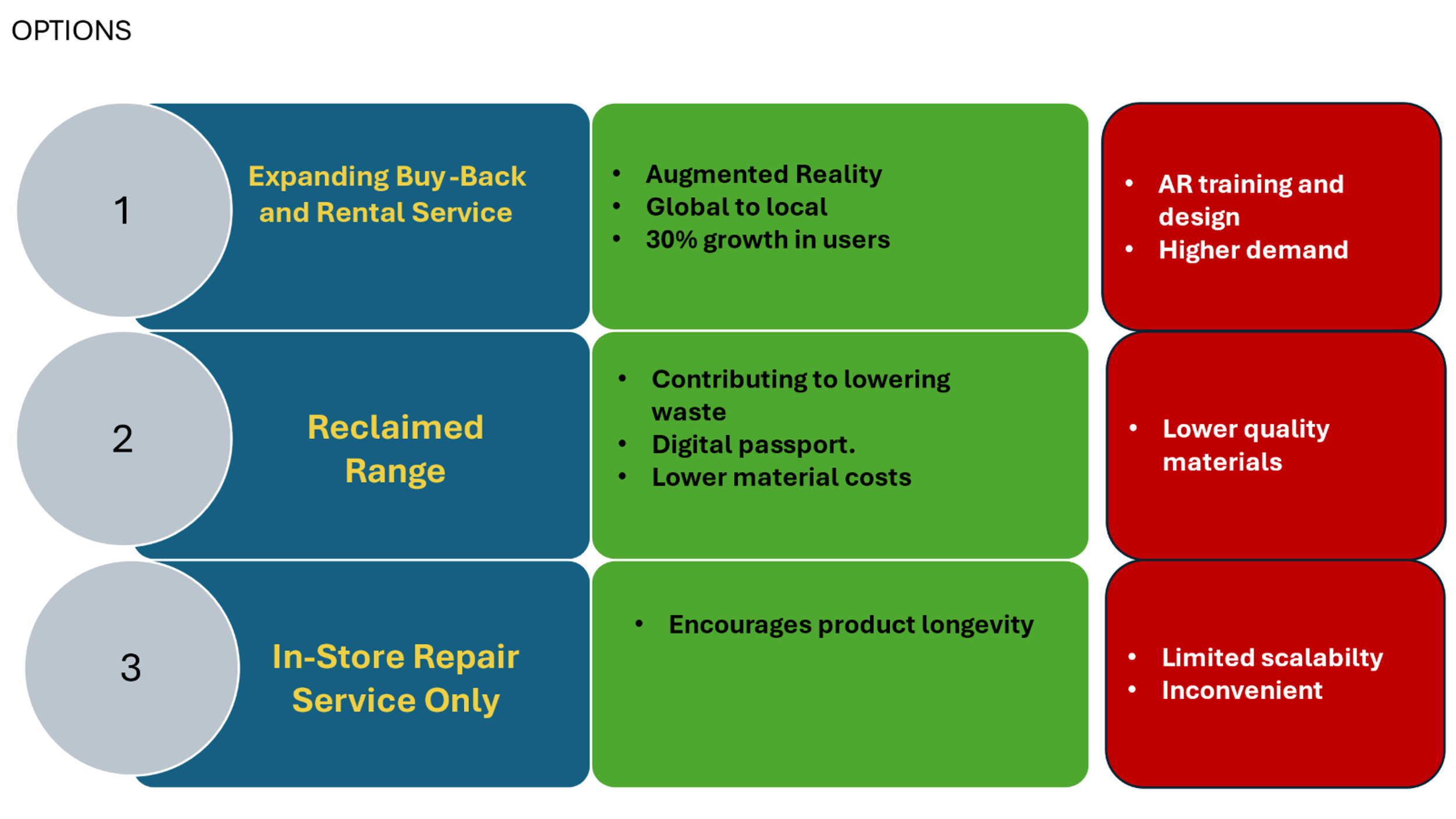 Risk & Mitigation Strategy Example 1